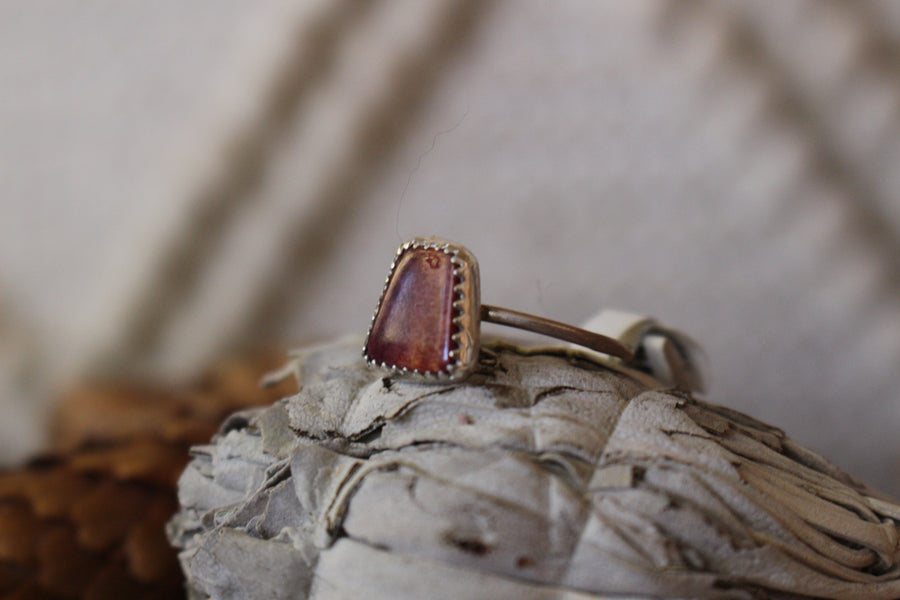 Spiny Oyster Arches Ring