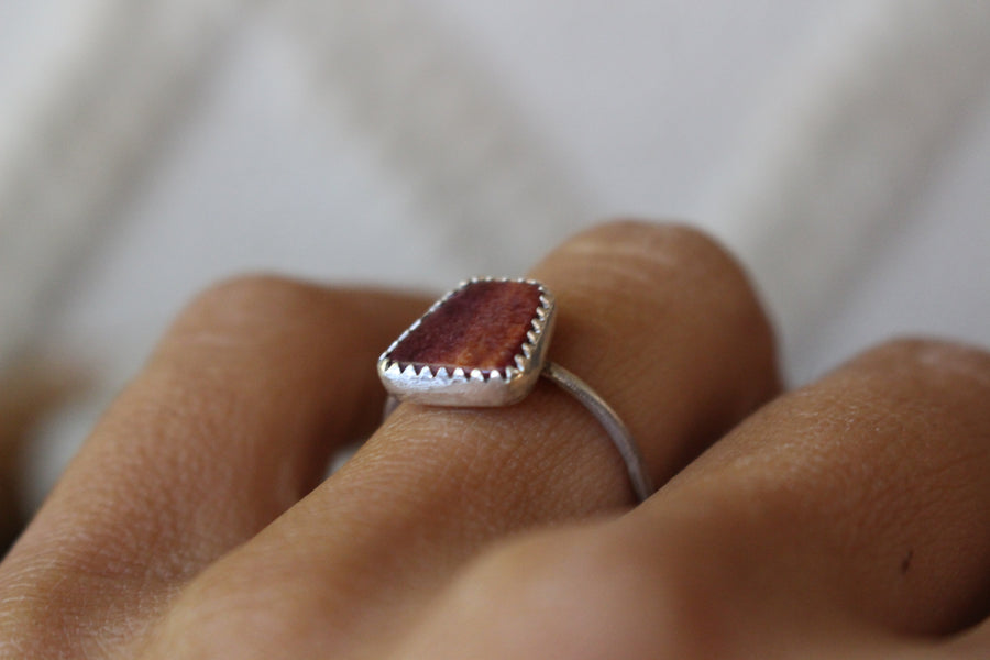 Spiny Oyster Arches Ring