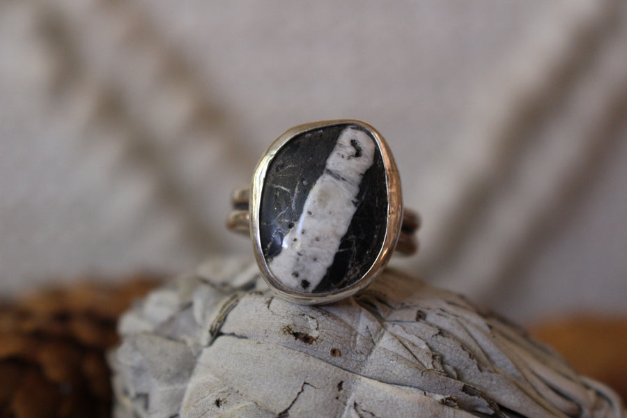 White Buffalo Ribbon Ring