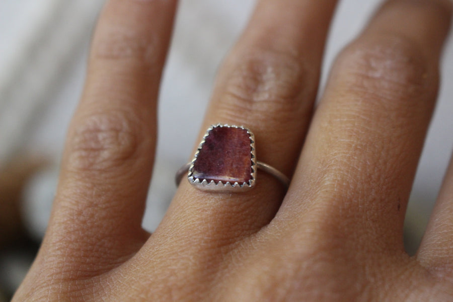 Spiny Oyster Arches Ring