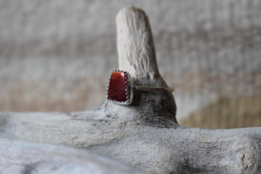 Spiny Oyster Sunrise Ring