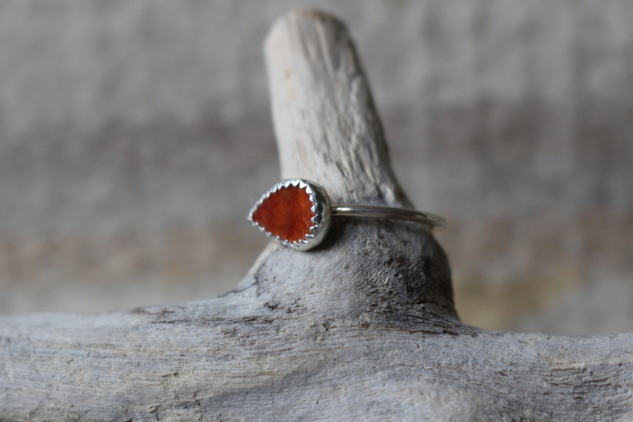 Spiny Oyster Bloom Ring