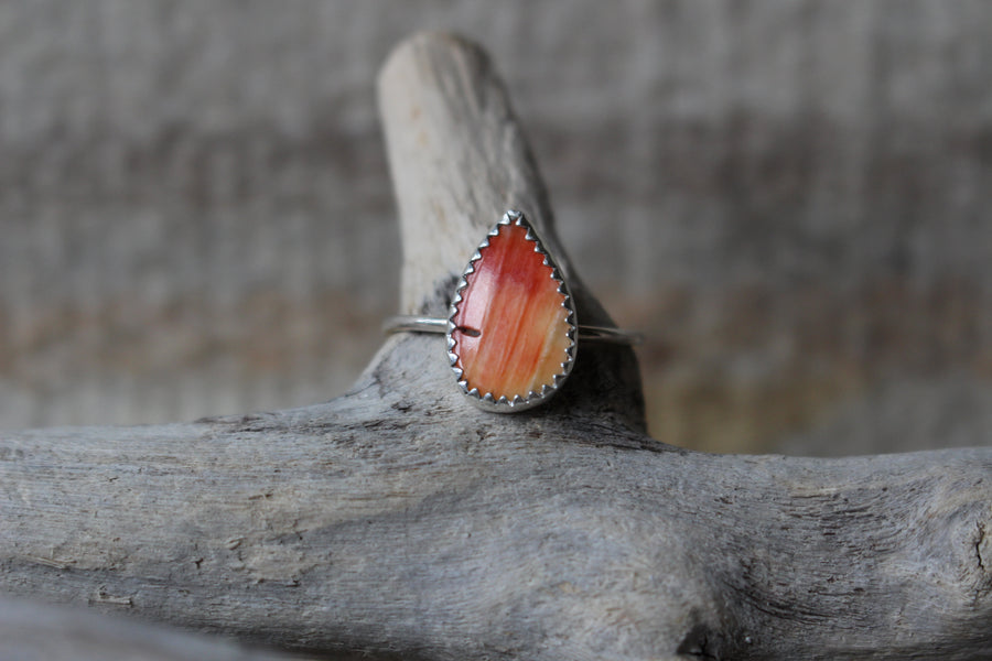 Tear Drop Spiny Oyster Arches Ring