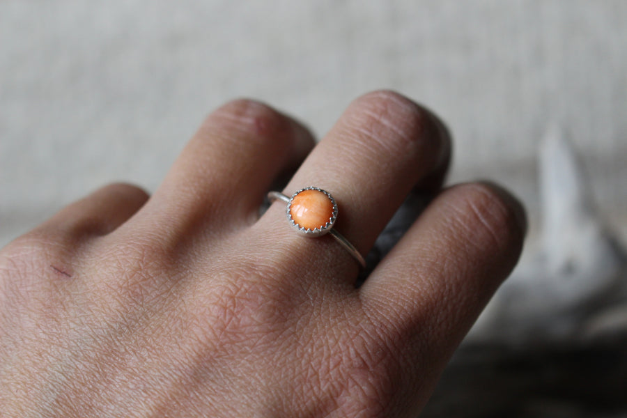 Round Spiny Oyster Mesa Ring